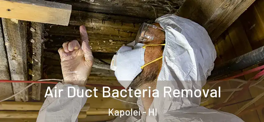  Air Duct Bacteria Removal Kapolei - HI