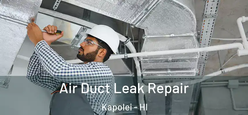 Air Duct Leak Repair Kapolei - HI