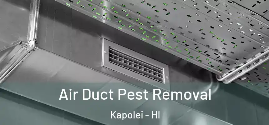  Air Duct Pest Removal Kapolei - HI