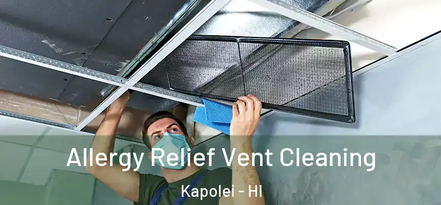  Allergy Relief Vent Cleaning Kapolei - HI