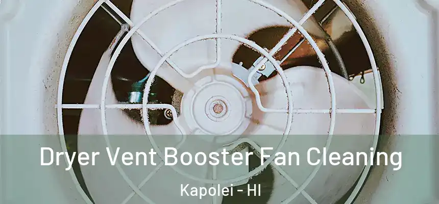 Dryer Vent Booster Fan Cleaning Kapolei - HI