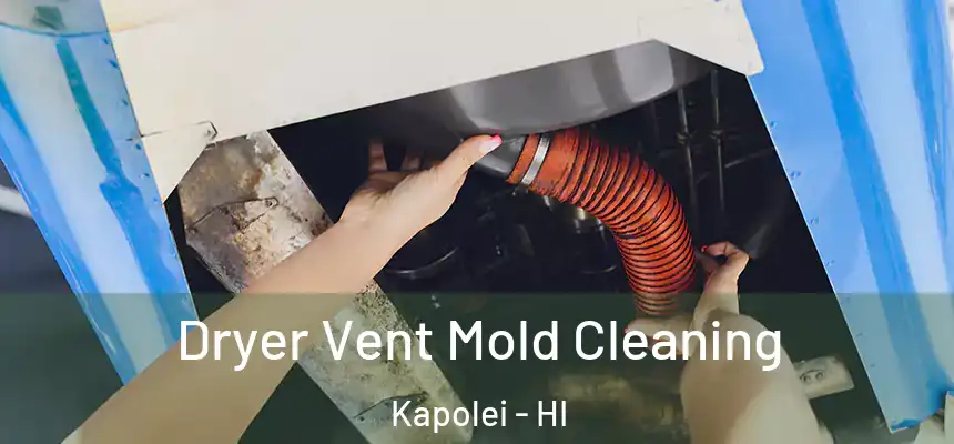  Dryer Vent Mold Cleaning Kapolei - HI