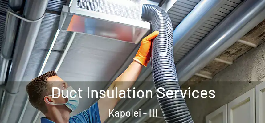 Duct Insulation Services Kapolei - HI