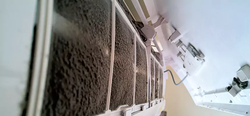 Preventive Air Duct Bacteria Removal in Kapolei