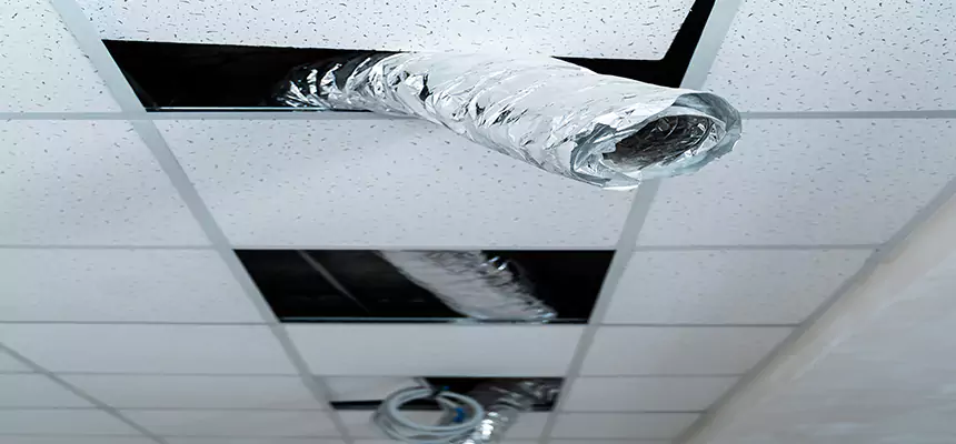 Affordable HVAC Sanitizing After Pest Removal in Kapolei