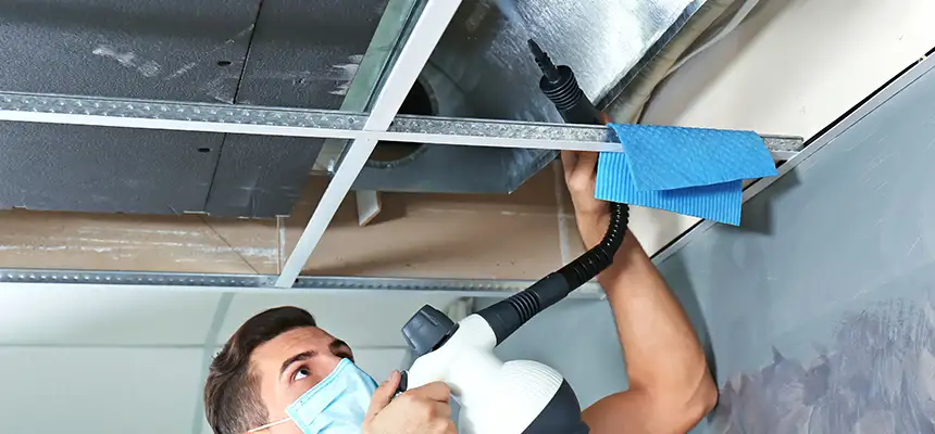 Our Air Duct Rodent Removal Services in Kapolei, HI
