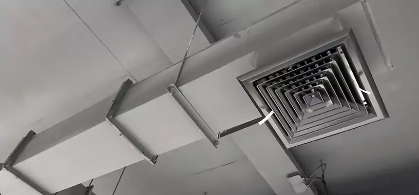 Our Rodent Droppings In Vents Services in Kapolei, HI