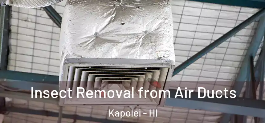  Insect Removal from Air Ducts Kapolei - HI
