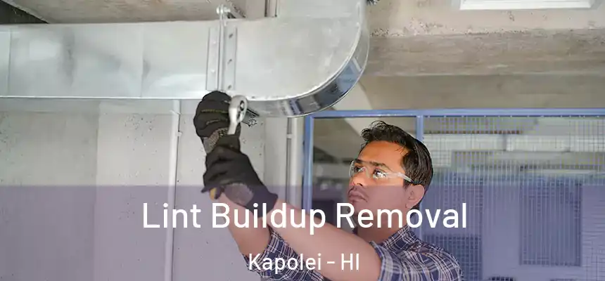 Lint Buildup Removal Kapolei - HI