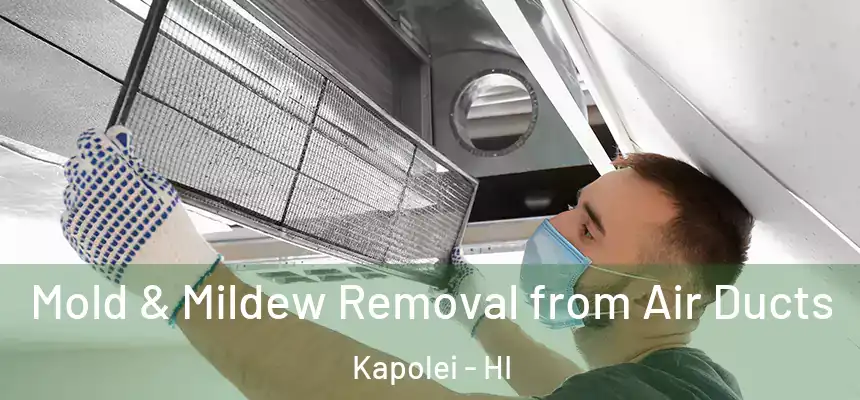 Mold & Mildew Removal from Air Ducts Kapolei - HI