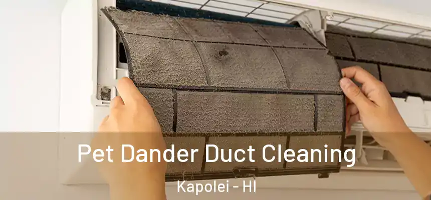 Pet Dander Duct Cleaning Kapolei - HI