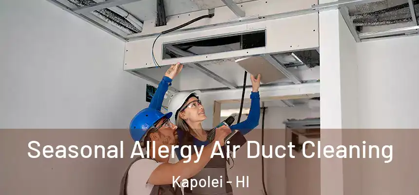 Seasonal Allergy Air Duct Cleaning Kapolei - HI