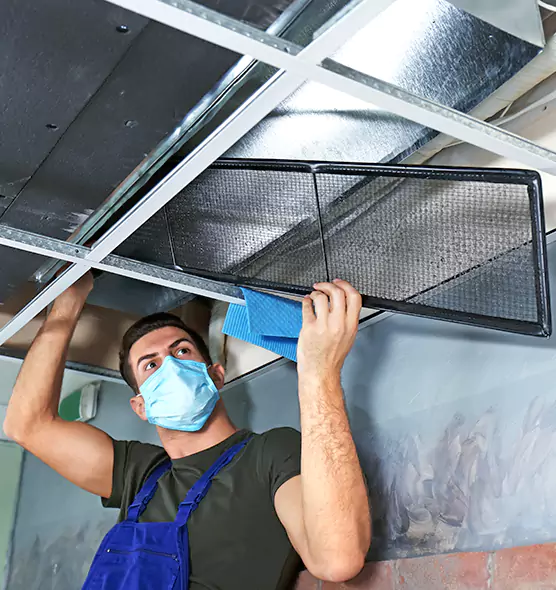 About Air Duct Bacteria Removal in Kapolei