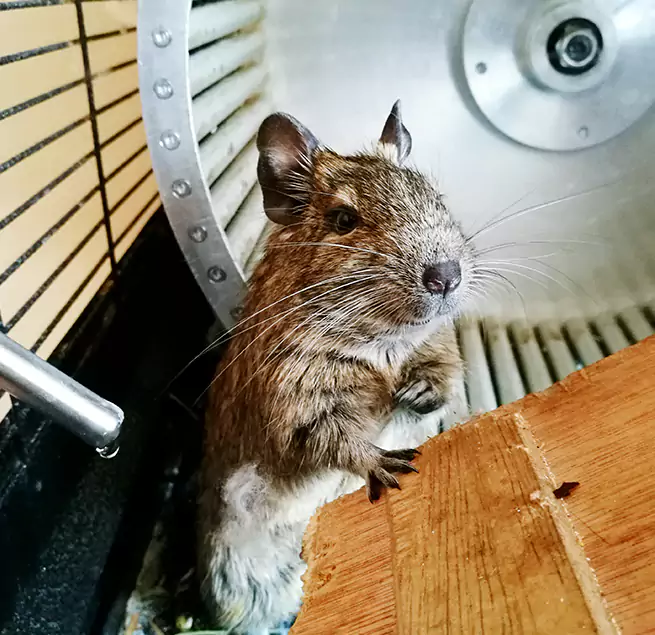 Why Homeowners & Businesses Trust Us Kapolei, HI