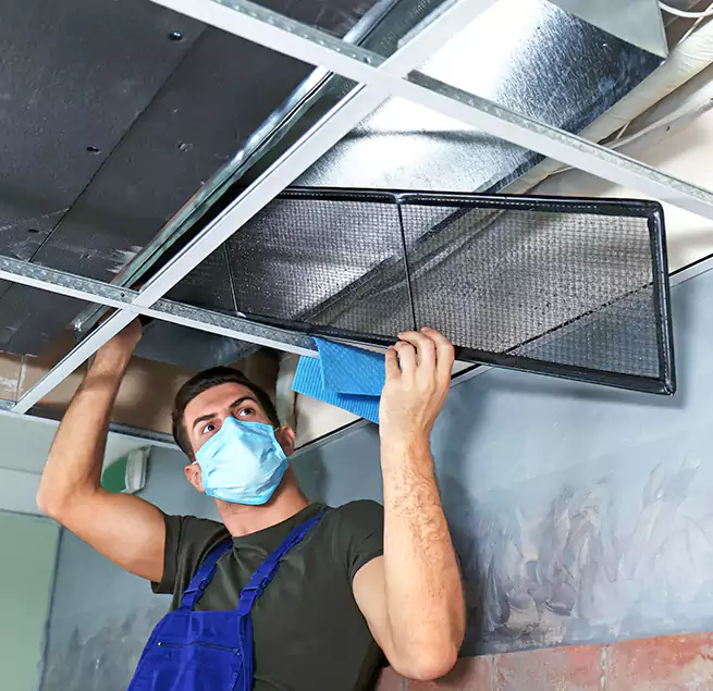 Why Homeowners Businesses Trust Us in Kapolei, HI