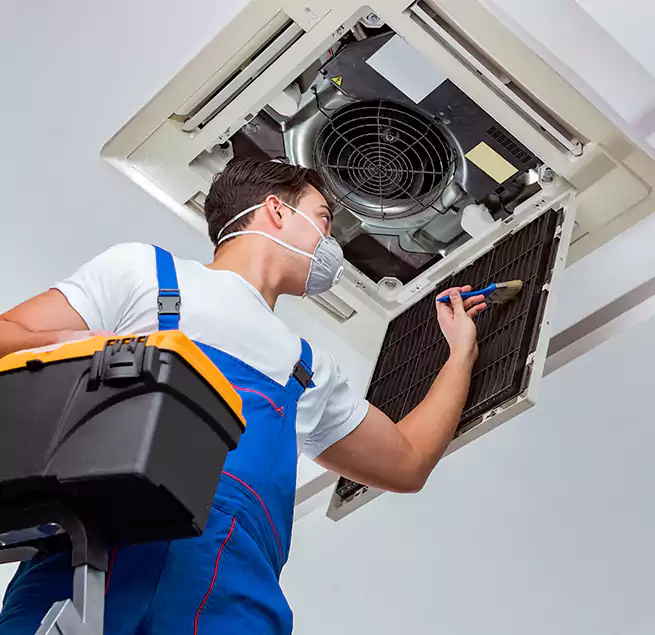 Why Homeowners & Businesses Trust Us in Kapolei, HI