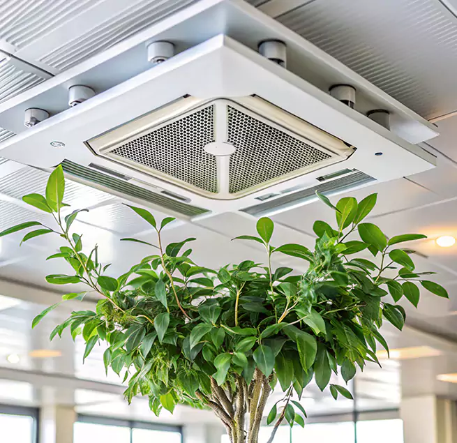 Why Homeowners & Businesses Trust Us in Kapolei, HI