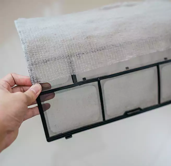 Why Homeowners & Businesses Trust Us in Kapolei, HI?