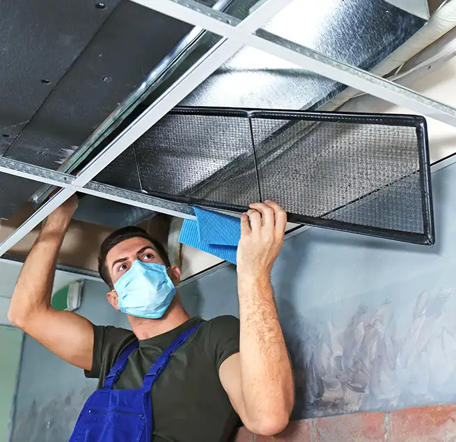 Why Homeowners & Businesses Trust Us in Kapolei, HI?