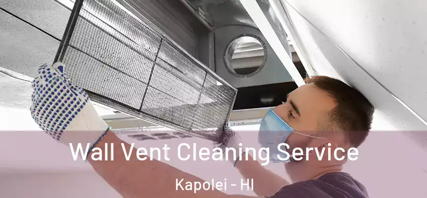  Wall Vent Cleaning Service Kapolei - HI
